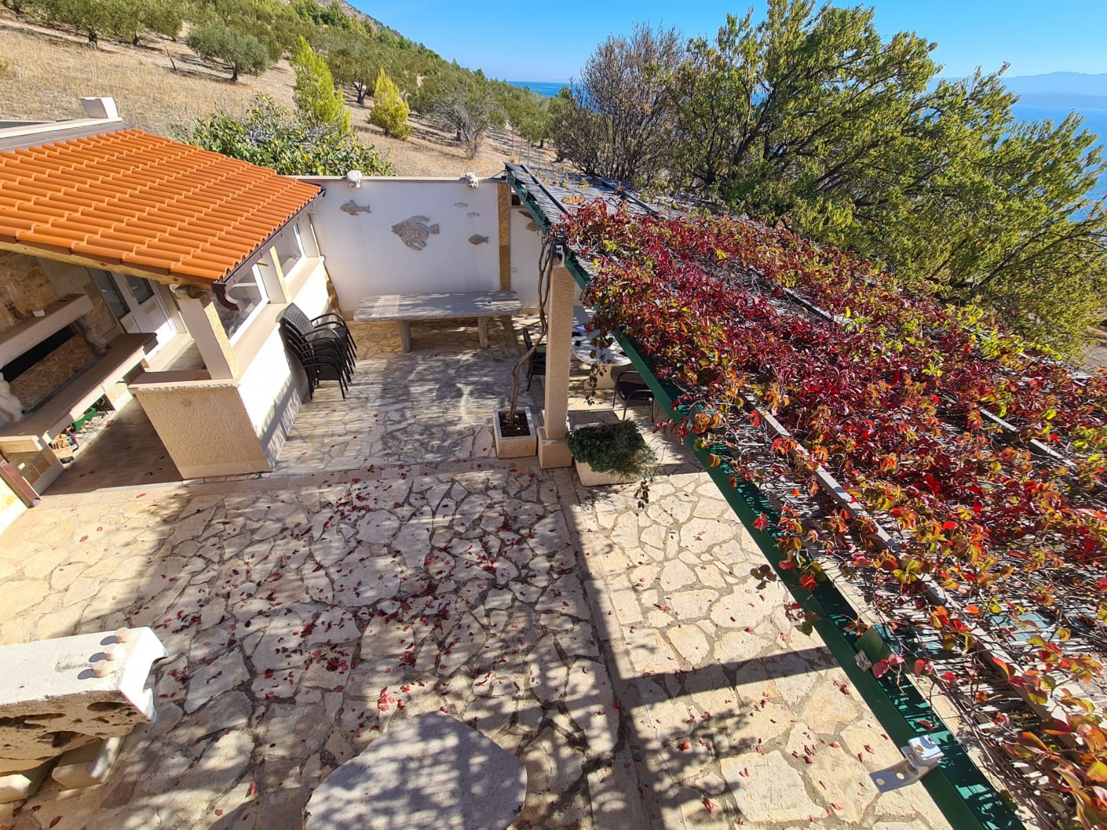 A terrace_